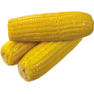 High quality Yellow and white corn